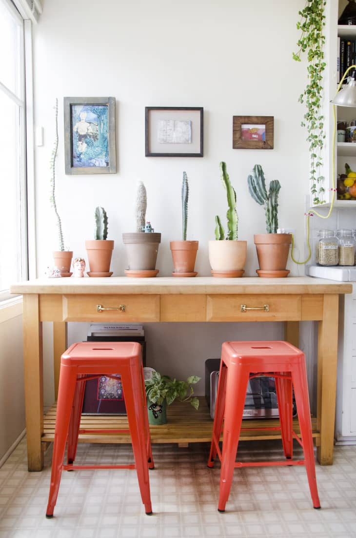 Best Plants to Grow in the Kitchen The Kitchn